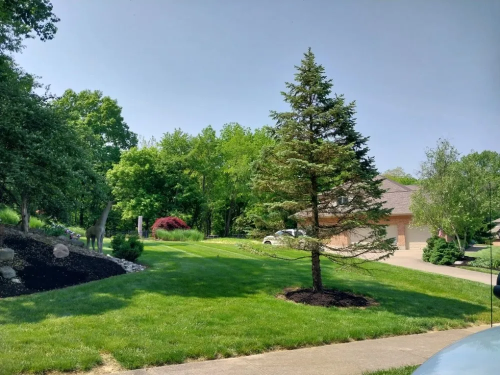 Affordable outdoor landscaping experts serving Trenton, OH - Ace Lawn Service And Landscaping