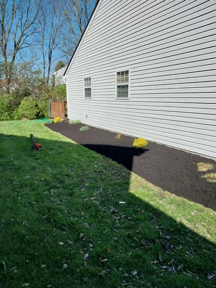Professional yard cleanup service in Trenton, OH by Ace Lawn Service And Landscaping