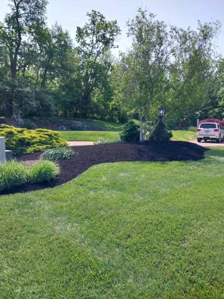 Affordable yard cleanup service in Trenton, OH by Ace Lawn Service And Landscaping