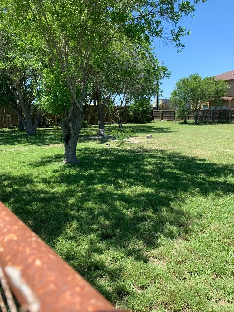 Expert yard maintenance experts serving Harlingen, TX - Ace Lawn Service
