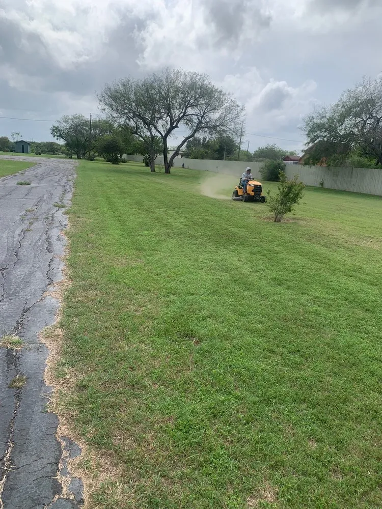 Affordable landscape installation in Harlingen, TX - Ace Lawn Service