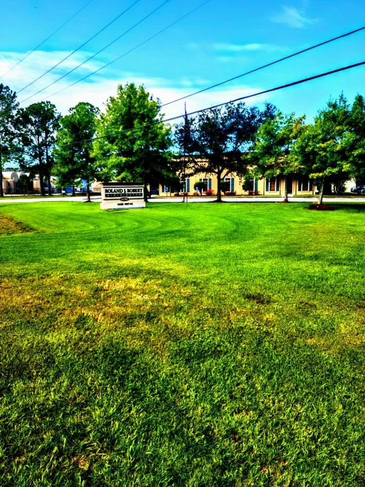 Expert yard maintenance in Walker, LA by ACE Lawn Service