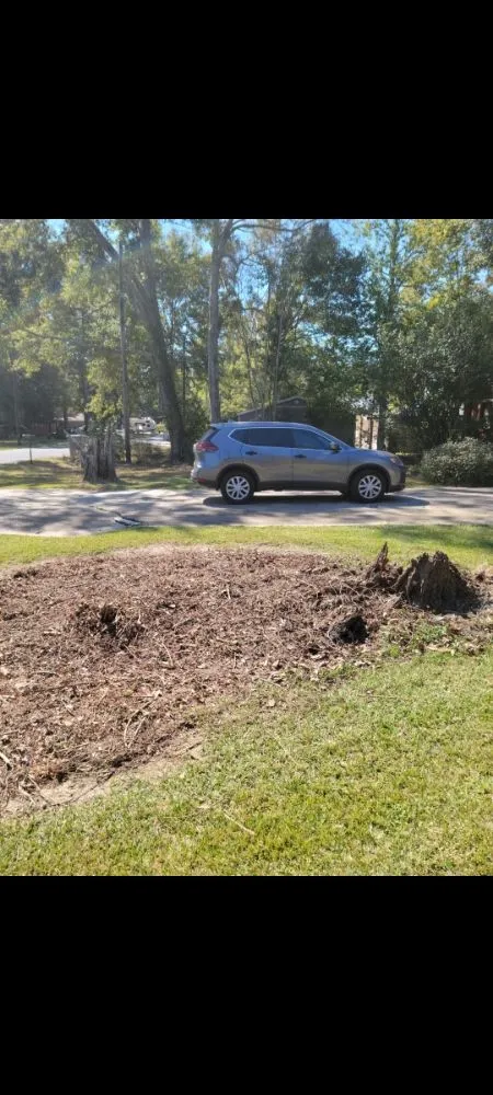 Expert outdoor landscaping with custom design across Walker, LA - ACE Lawn Service