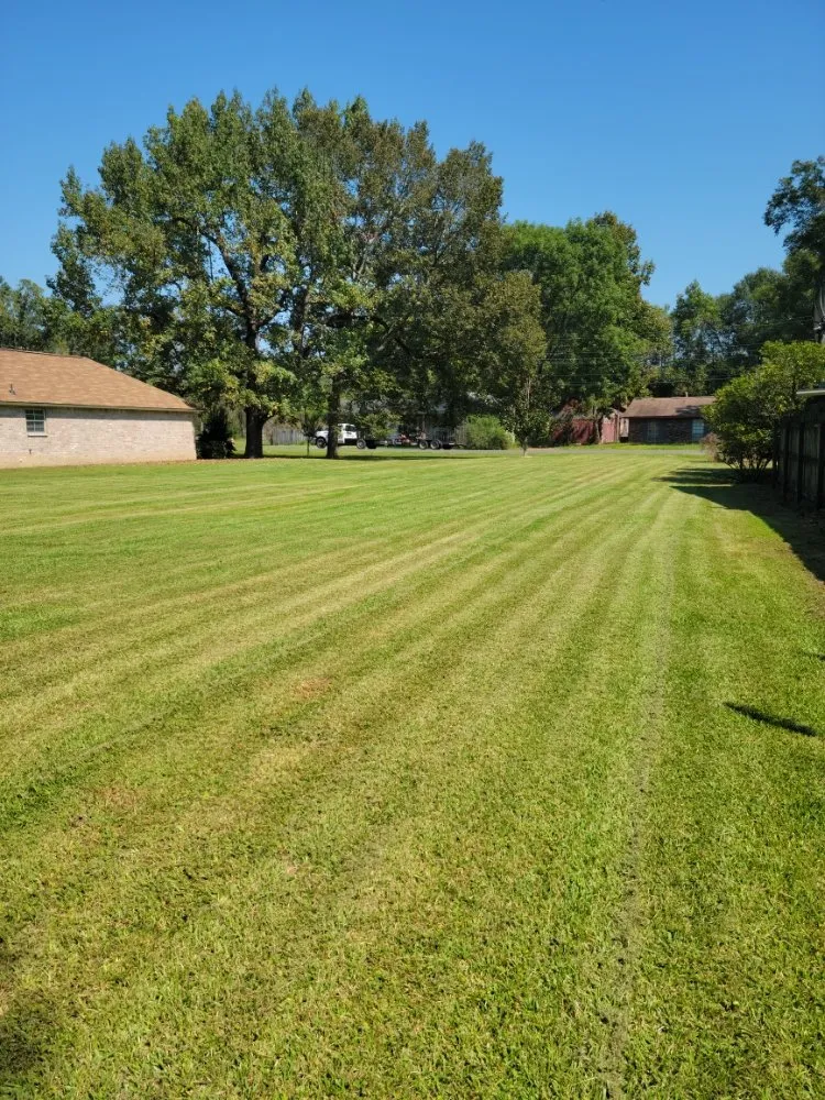 Expert yard maintenance for beautiful yards in Walker, LA by ACE Lawn Service