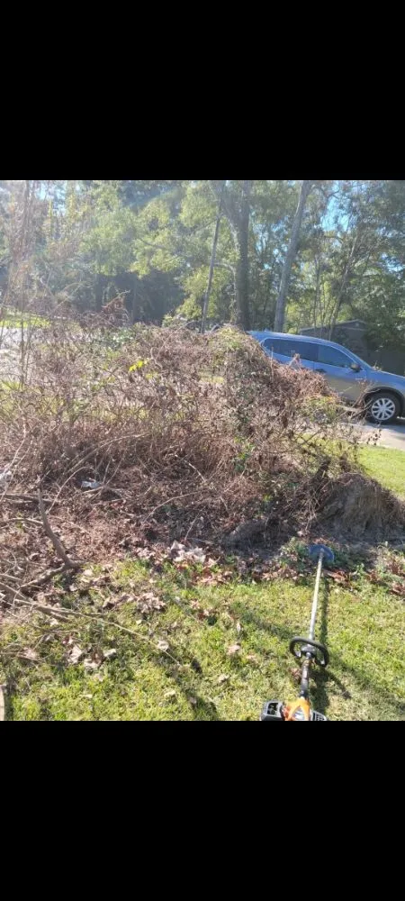 Professional landscape design experts serving Walker, LA - ACE Lawn Service