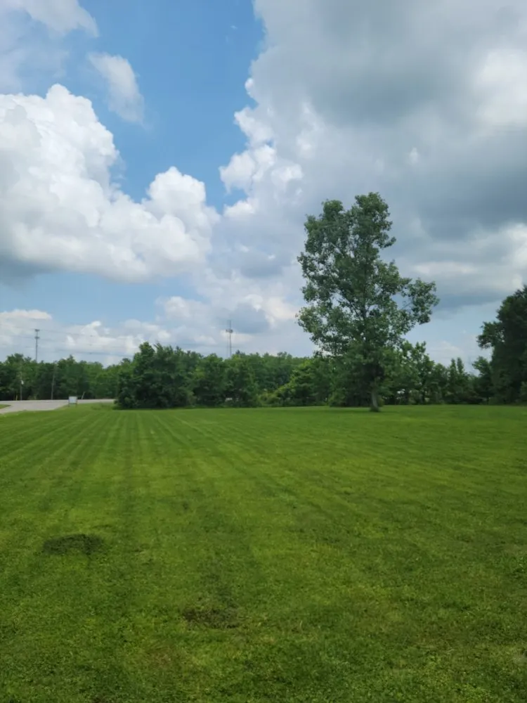 Custom landscape installation in Walker, LA by ACE Lawn Service