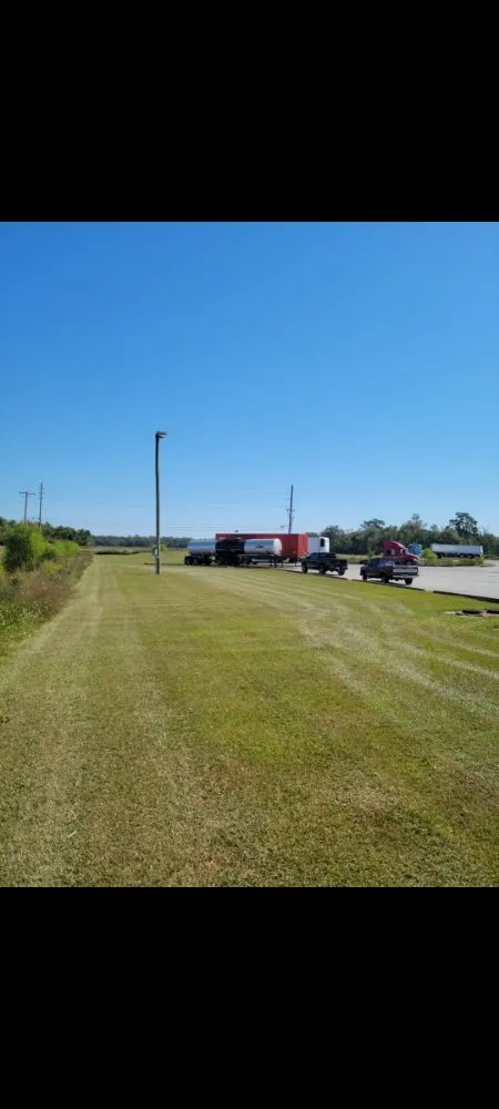 Local yard cleanup service for beautiful yards in Walker, LA by ACE Lawn Service