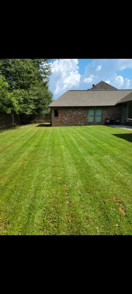 Local residential landscaping experts serving Walker, LA - ACE Lawn Service