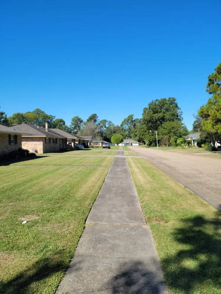 Affordable yard cleanup service in Walker, LA by ACE Lawn Service