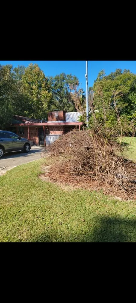 Professional landscaping services experts serving Walker, LA - ACE Lawn Service