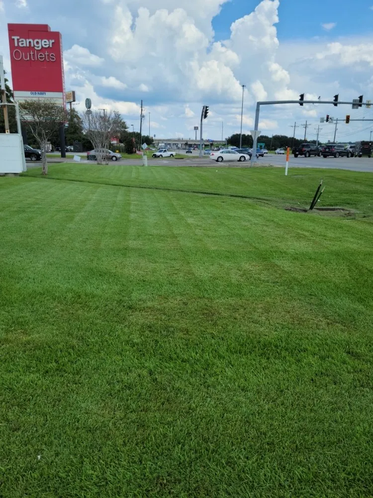 Affordable yard maintenance experts serving Walker, LA - ACE Lawn Service