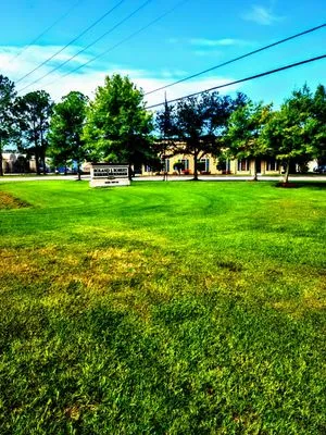 ACE Lawn Service Logo