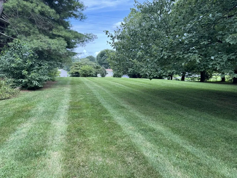 Trusted landscape installation in Blountville, TN by A.C.E. Lawn Services