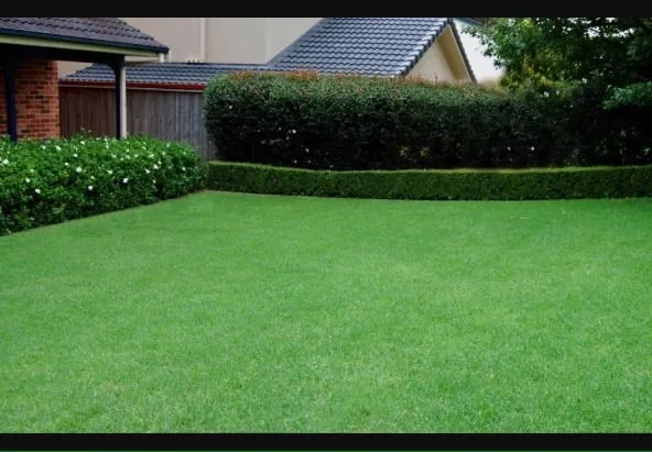 Expert landscape design with custom design across Turlock, CA - Ace Lawn Services