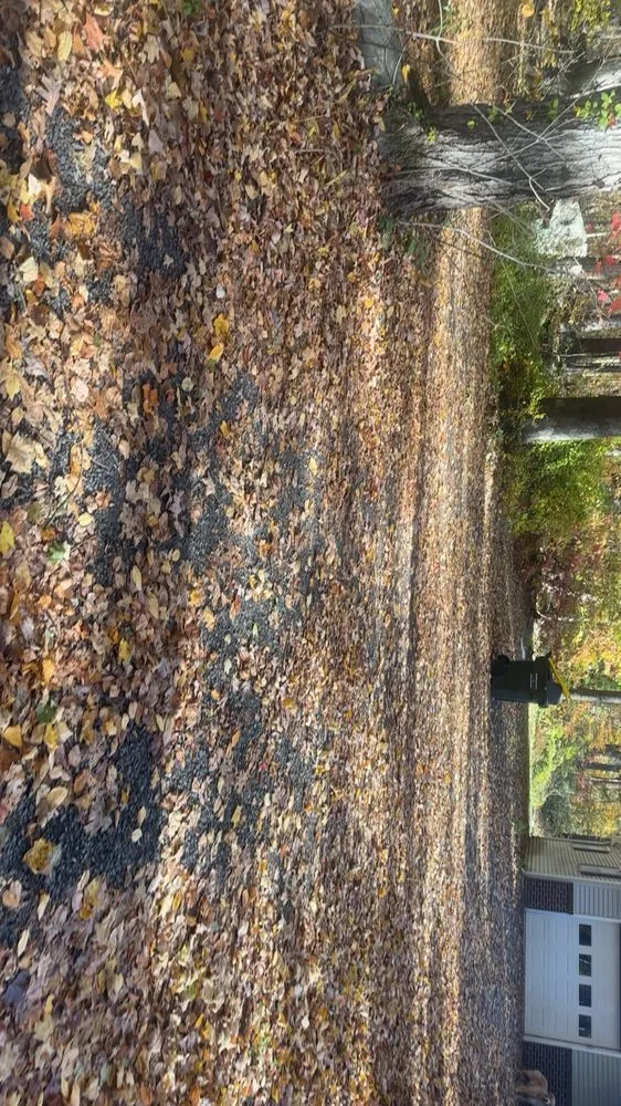 Local garden landscaping for year-round maintenance across Riegelsville, PA - Ace Lawncare