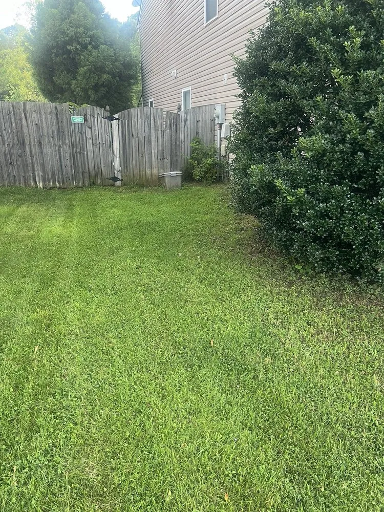 Affordable residential landscaping in Rock Hill, SC by Ace Lawncare