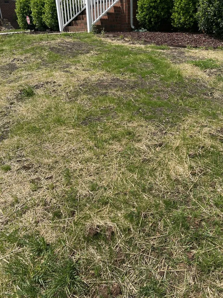 Local landscape installation in Rock Hill, SC - Ace Lawncare