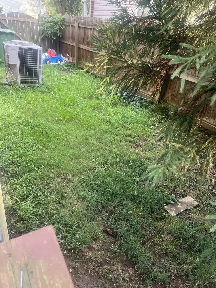 Expert residential landscaping in Rock Hill, SC - Ace Lawncare