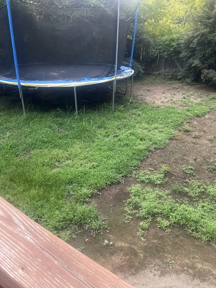 Professional lawn mowing service experts serving Rock Hill, SC - Ace Lawncare