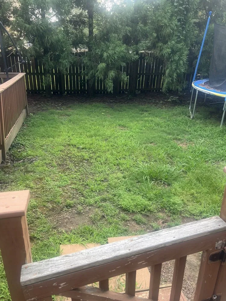 Expert residential landscaping experts serving Rock Hill, SC - Ace Lawncare