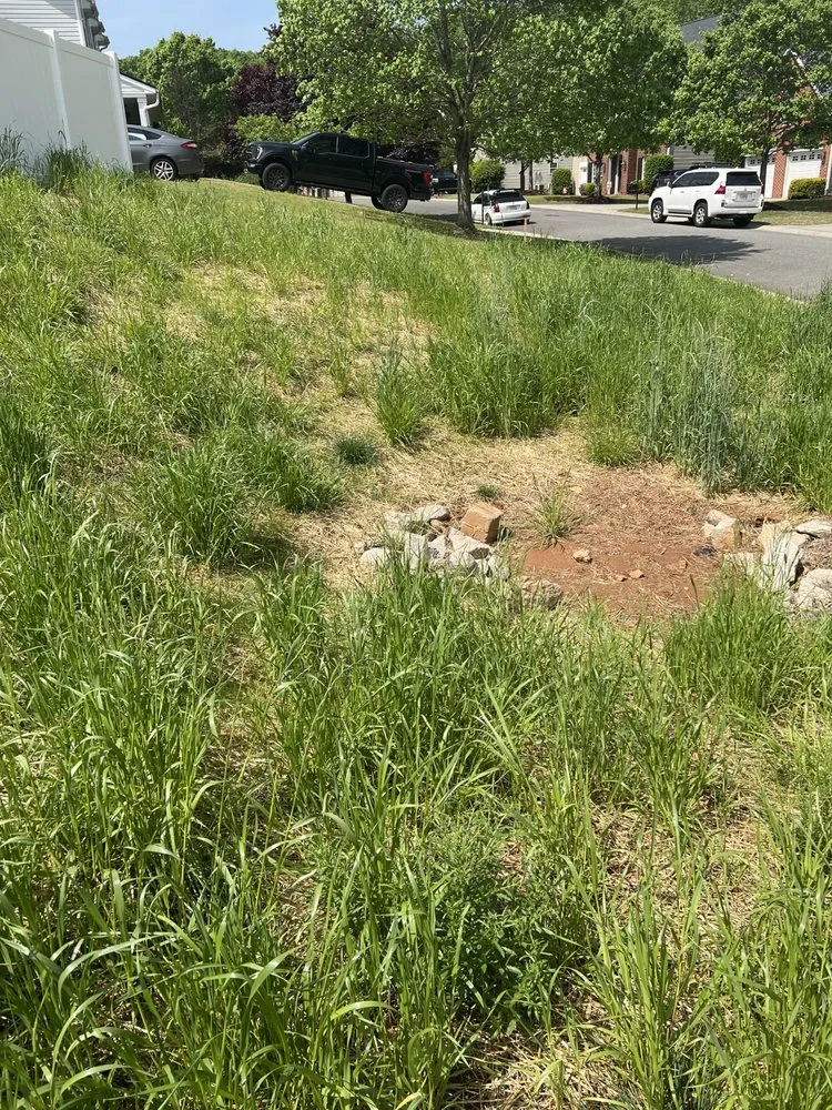 Trusted lawn care service for homes across Rock Hill, SC - Ace Lawncare