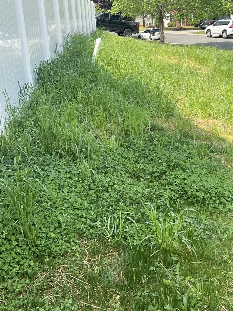 Top-rated landscaping services for homes across Rock Hill, SC - Ace Lawncare