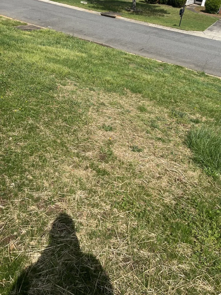 Custom yard cleanup service for year-round maintenance in Rock Hill, SC by Ace Lawncare