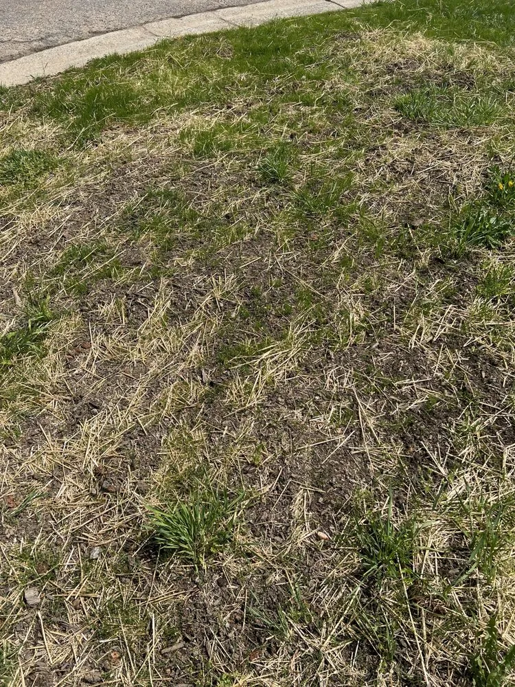 Trusted outdoor landscaping near you in Rock Hill, SC by Ace Lawncare