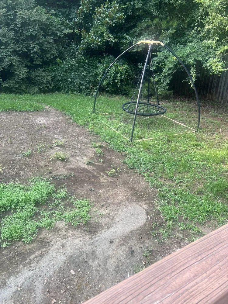 Local yard cleanup service in Rock Hill, SC - Ace Lawncare