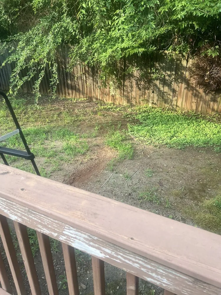 Local lawn mowing service for outdoor upgrades across Rock Hill, SC - Ace Lawncare