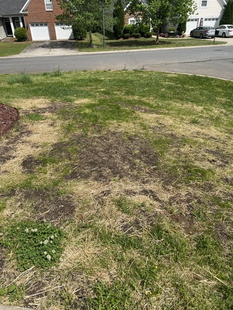 Trusted residential landscaping for outdoor upgrades in Rock Hill, SC by Ace Lawncare