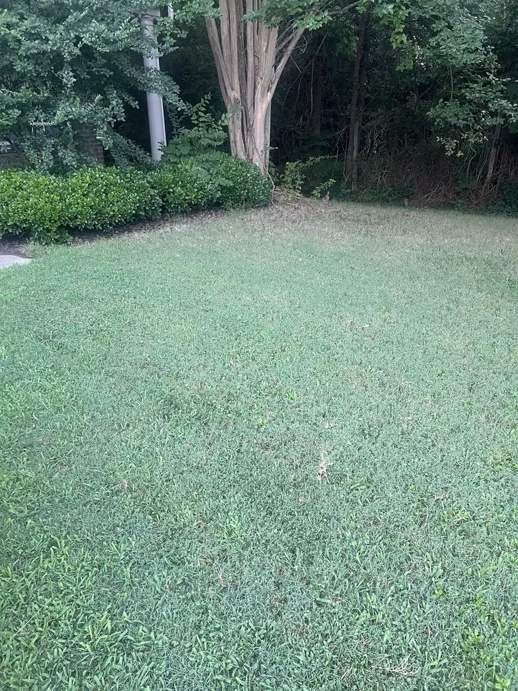 Custom lawn mowing service experts serving Rock Hill, SC - Ace Lawncare