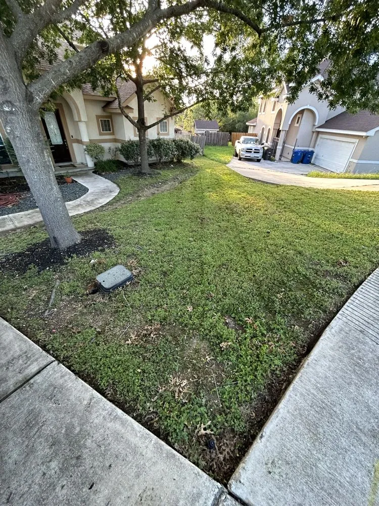 Custom landscape installation in San Antonio, TX by Ace Lawns