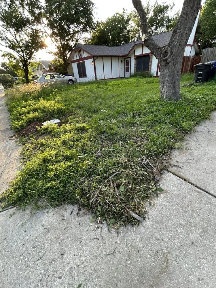 Top-rated garden landscaping in San Antonio, TX by Ace Lawns