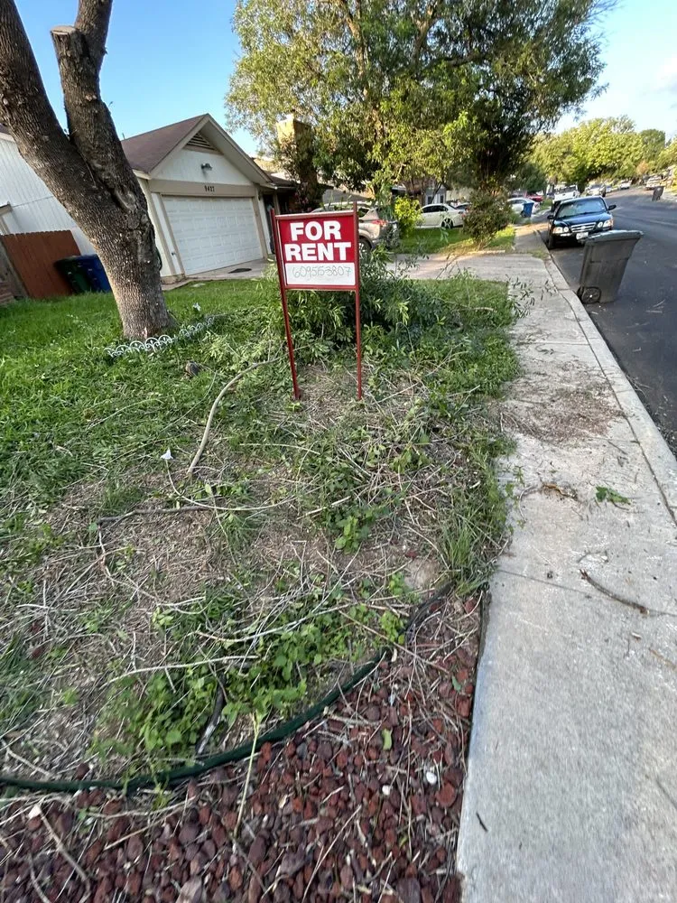 Professional yard cleanup service for beautiful yards in San Antonio, TX by Ace Lawns
