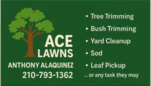 Top-rated landscape installation in San Antonio, TX by Ace Lawns