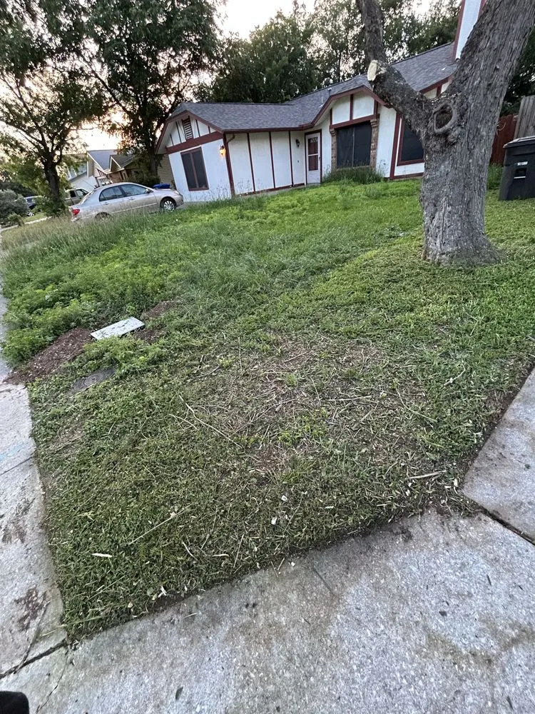 Local lawn care service experts serving San Antonio, TX - Ace Lawns