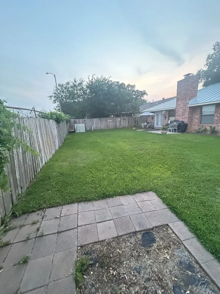Custom outdoor landscaping in San Antonio, TX - Ace Lawns