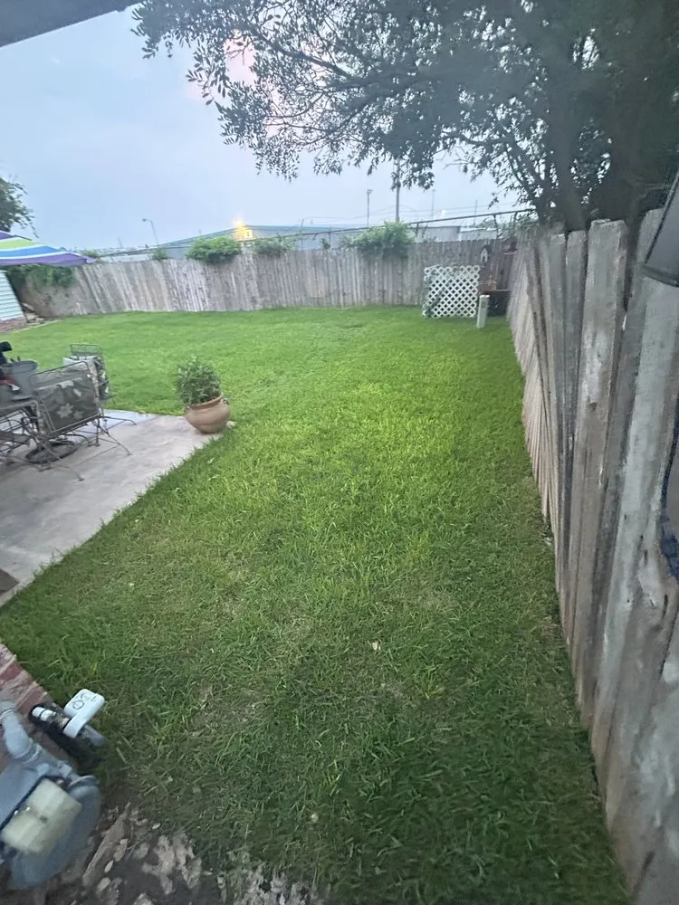 Trusted lawn care service in San Antonio, TX by Ace Lawns