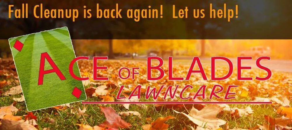 Affordable yard cleanup service experts serving Chatham, IL - Ace of Blades