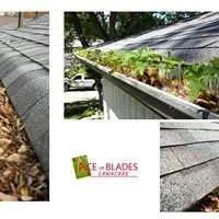 Top-rated garden landscaping in Chatham, IL by Ace of Blades