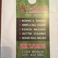 Affordable yard cleanup service in Chatham, IL by Ace of Blades