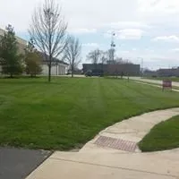 Professional outdoor landscaping in Chatham, IL by Ace of Blades