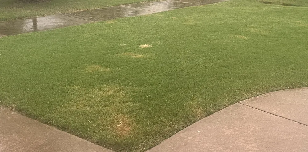 Custom garden landscaping in Springdale, AR by Ace of Blades Lawn Care