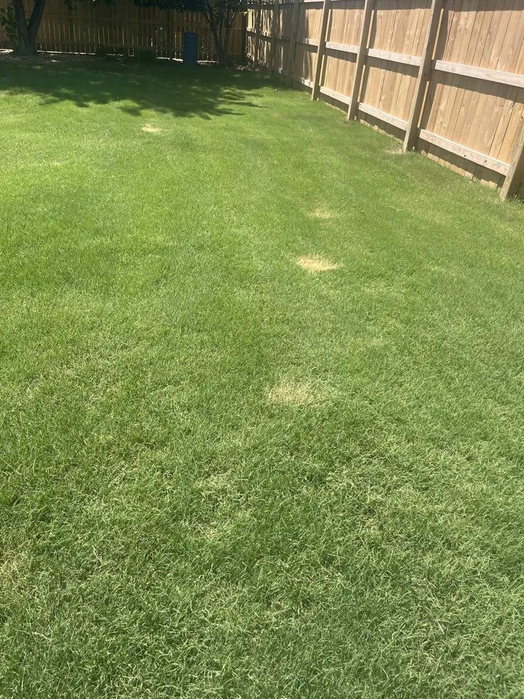 Expert landscaping services near you in Springdale, AR by Ace of Blades Lawn Care