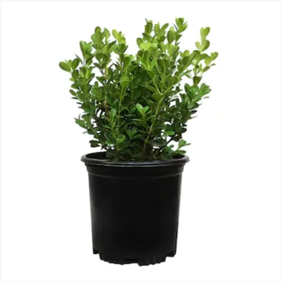 Top-rated residential landscaping experts serving Fort Gibson, OK - Ace of Blade'z Lawncare