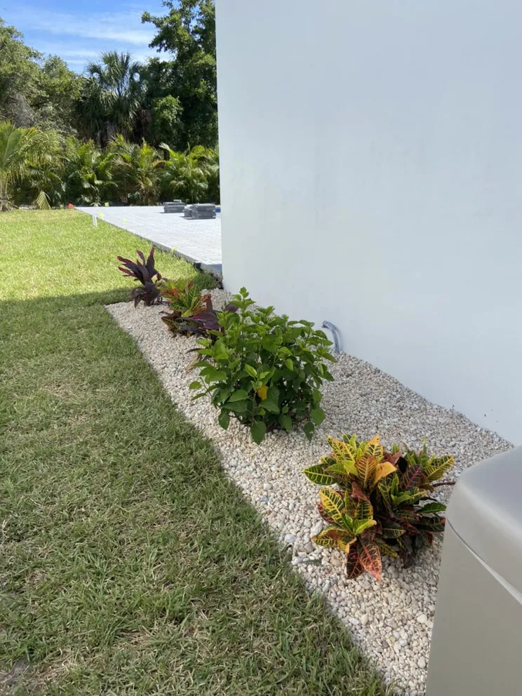 Local landscape installation in Tarpon Springs, FL - Ace Of Lawns