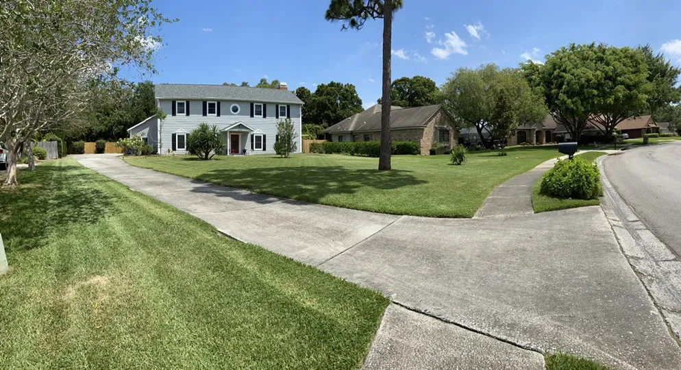 Trusted landscape installation experts serving Tarpon Springs, FL - Ace Of Lawns