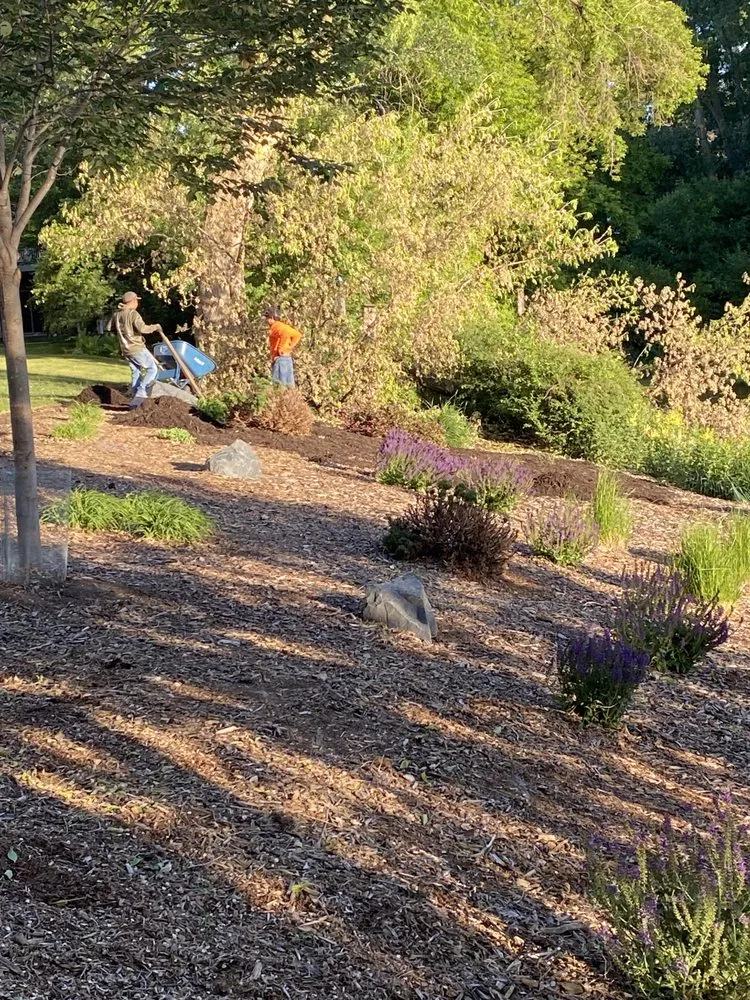 Custom yard maintenance with custom design in Apple Valley, MN by Ace of Spades