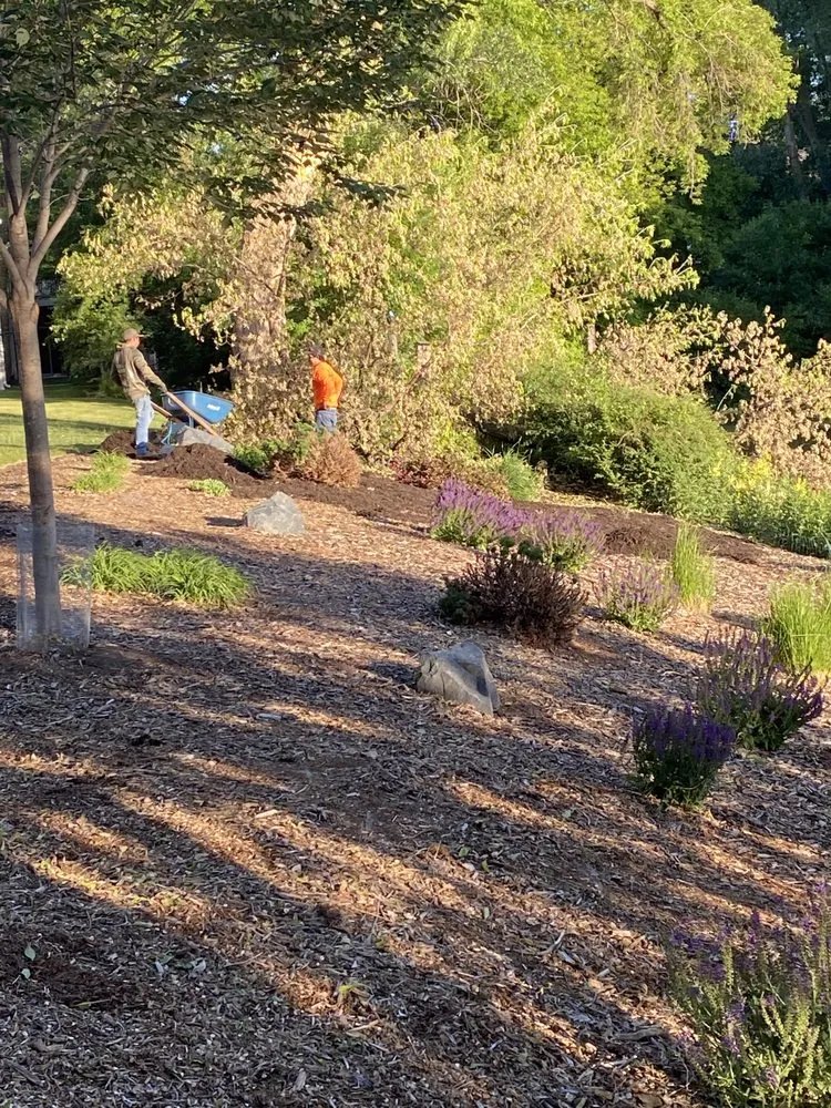 Local lawn care service for year-round maintenance across Apple Valley, MN - Ace of Spades